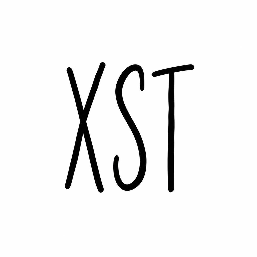 XST Lab